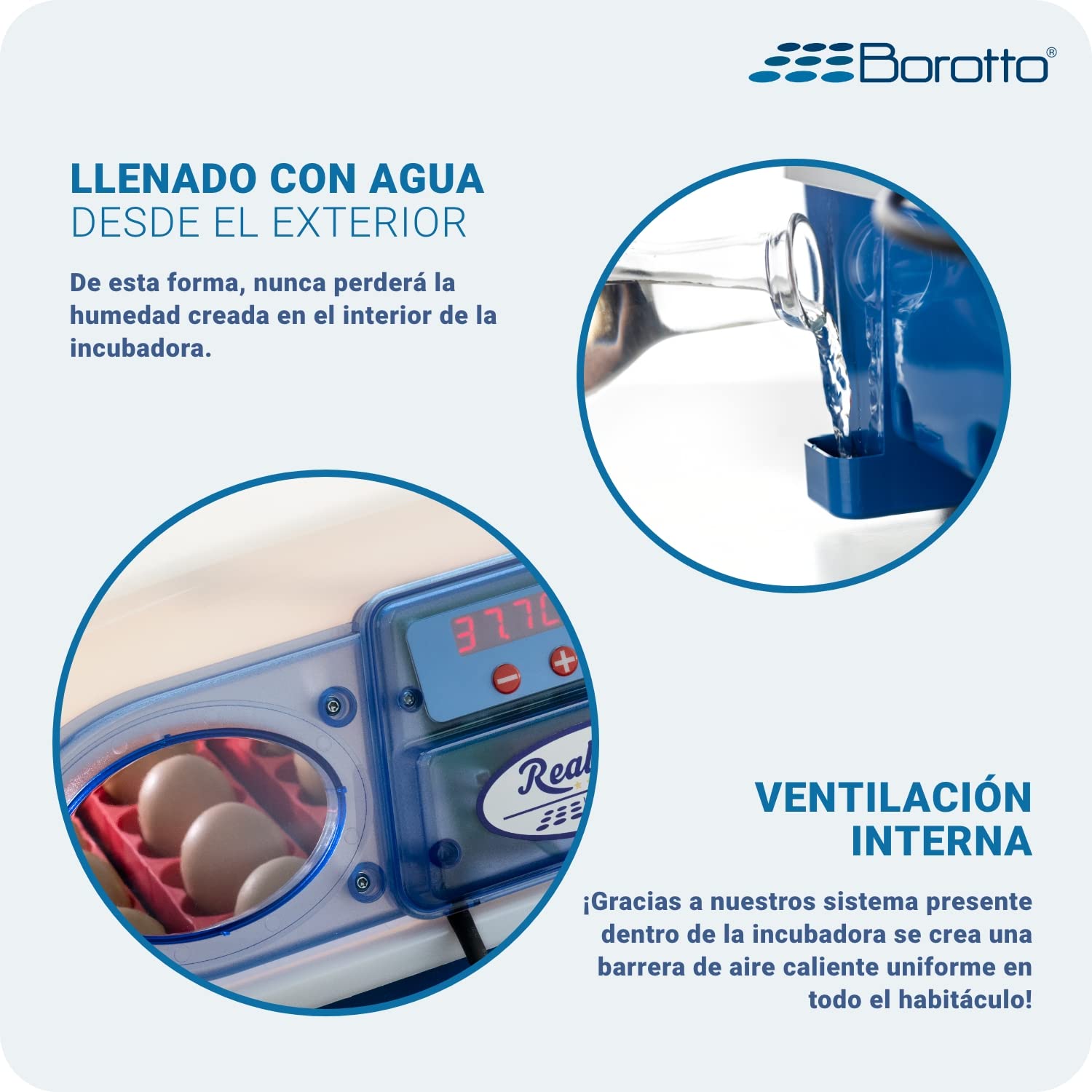 Borotto Real 24 Semi Automática | Incubadora de Huevos Profesional Patentada para 24 Huevos o 96 Pequeños con Volteador de Huevos con Palanca y Control de Temperatura | Made in Italy