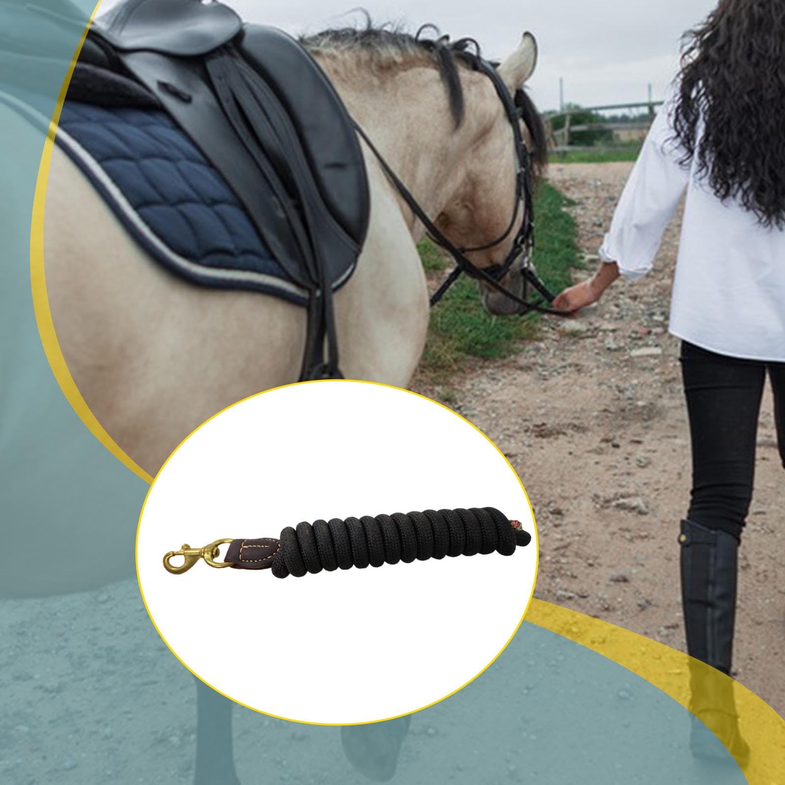 Sharplace Corda, Forniture equestri, redini, guinzaglio in Nylon per addestramento Cavalli, per, esibire, Uso Quotidiano, obbedienza, Nero