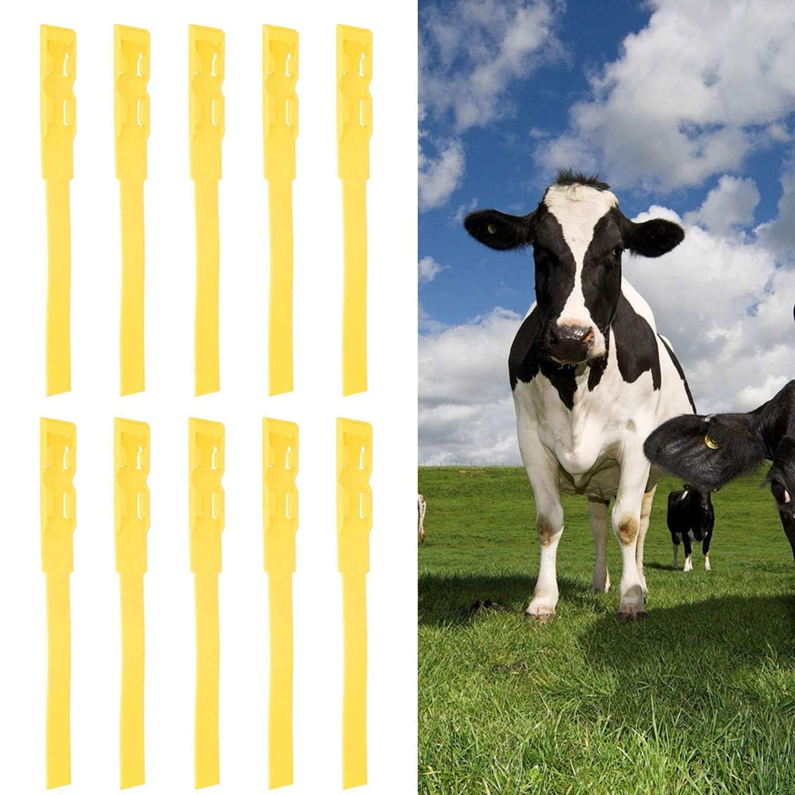 Bandas de identificación de ganado, 10 piezas Banda para pies de vaca Bandas para marcar ganado Bandas para patas de ganado para administrar granjas Ganado Ovejas Vaca (beufeeg60-14)