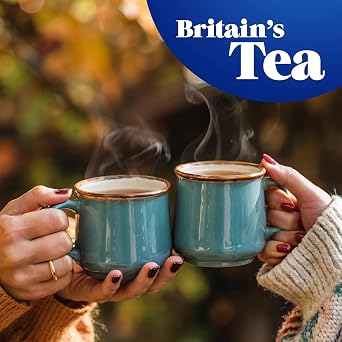Tetley Super Fruits Boost Cranberry & Elderflower Tea Bags x20