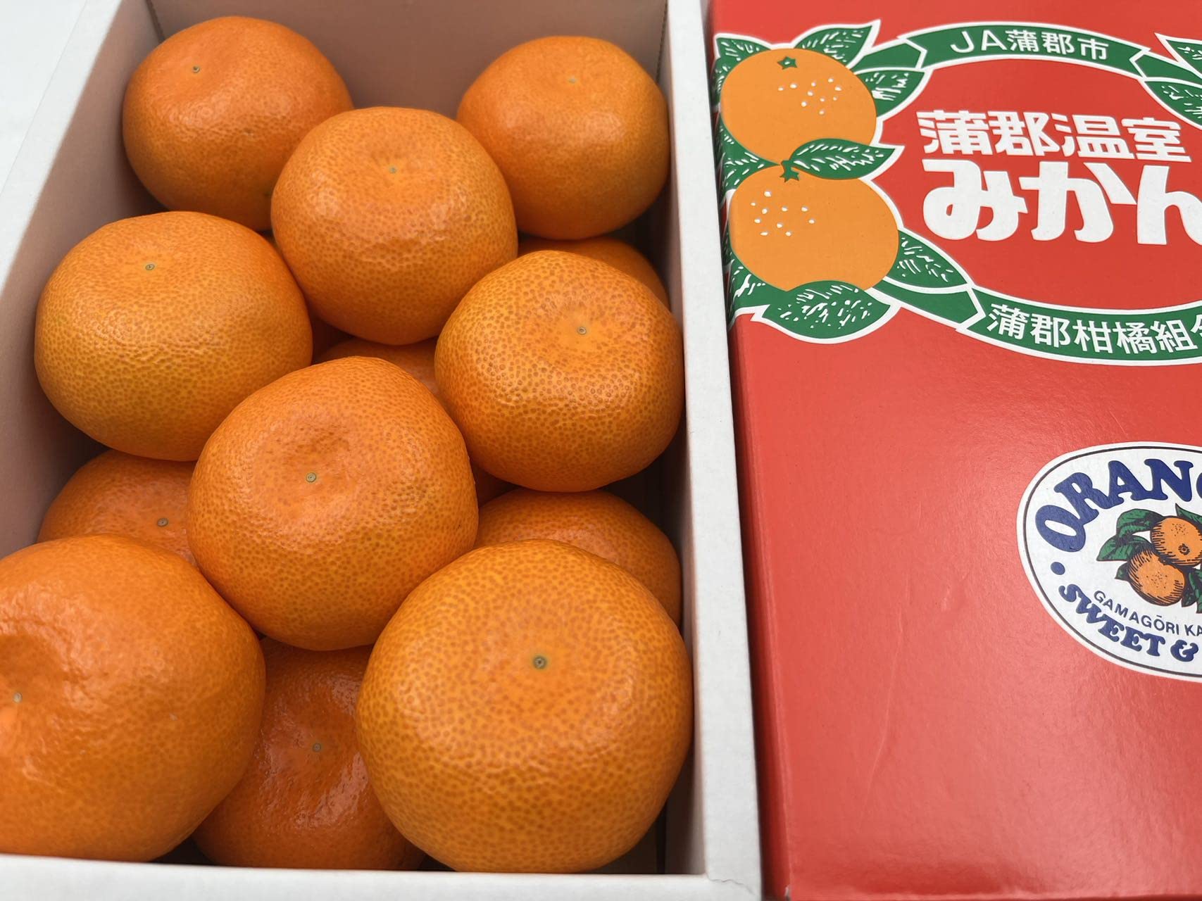 Amazon.co.jp: 蒲郡温室みかん ハウスみかん 愛知県産 秀品 Sサイズ 15