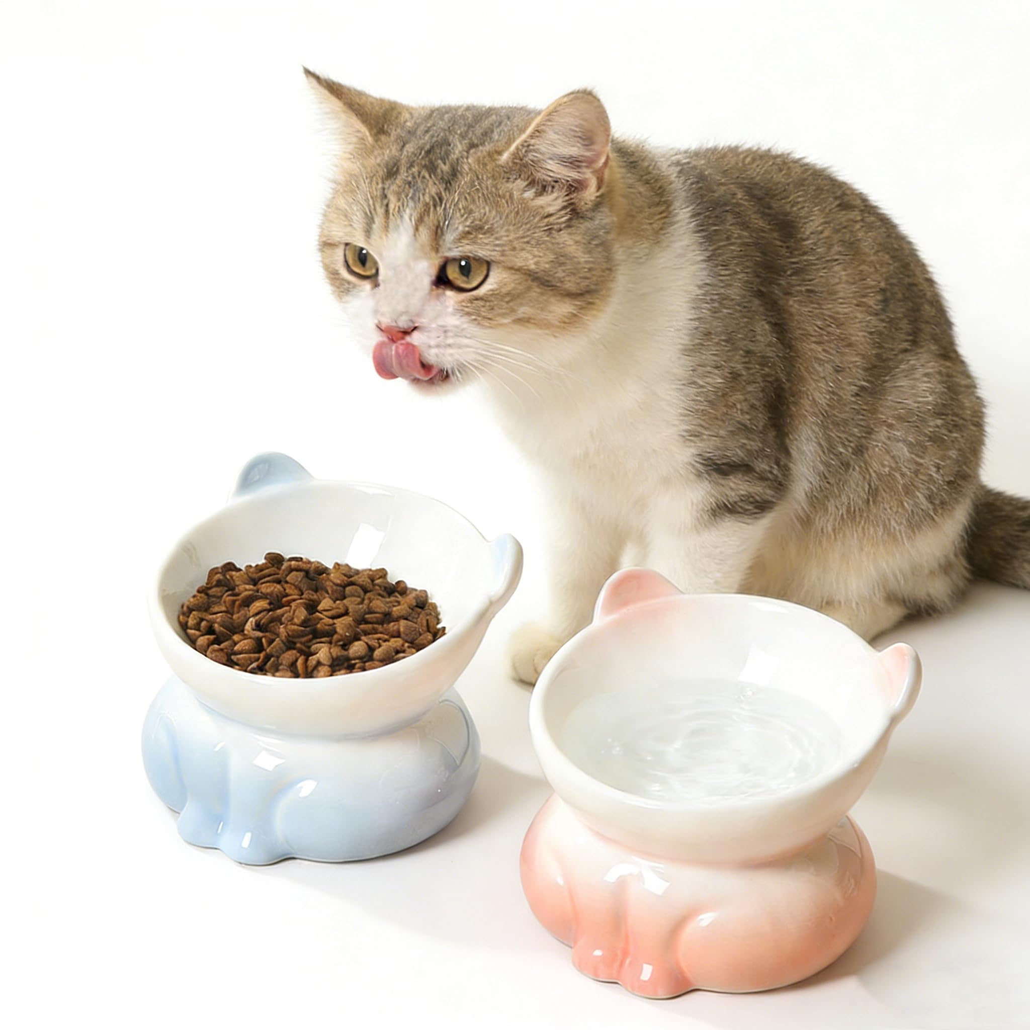 Gezipvn 2 Pcs Elevated Cat Food Bowl, Ceramic Raised Cat Bowls, Anti Vomit Cat Food Bowl, Cat Feeding Bowl Neck Protective Bowl, 14° Tilted Raised Cat Feeder （Pink and Blue）