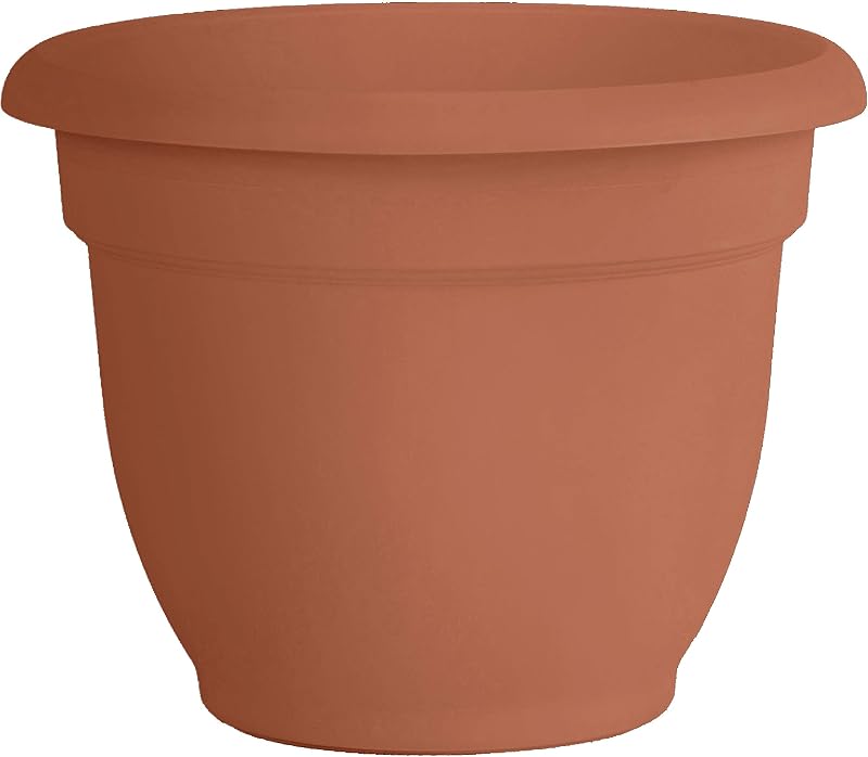 Fiskars Bloem Bloem 20-56106 Ariana with Self-Watering Grid, 6", Terra Cotta