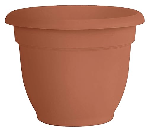 Bloem Ariana 6" Self-Watering Plastic Planter - Rolled Rim Indoor/Outdoor