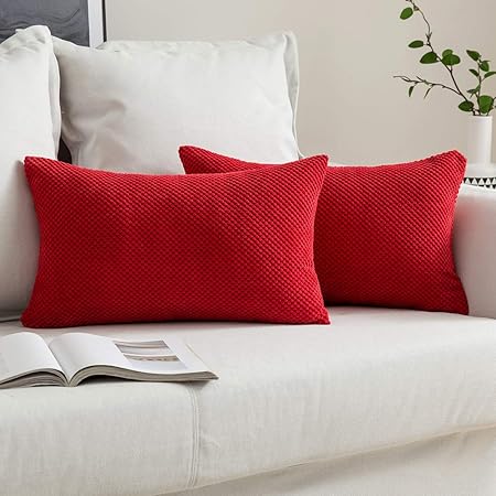 red rectangle cushion