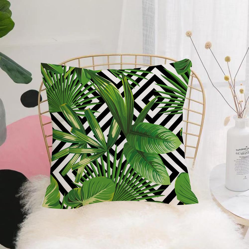 HYMSXW Cushion Cover,Throw Pillow Case Home Decorative for Living Room Bedroom Sofa Chair 20X20 Inch,jungle plant tropical palm leaves. Pattern floral vector on the black white geo,Pillowcase 50X50cm