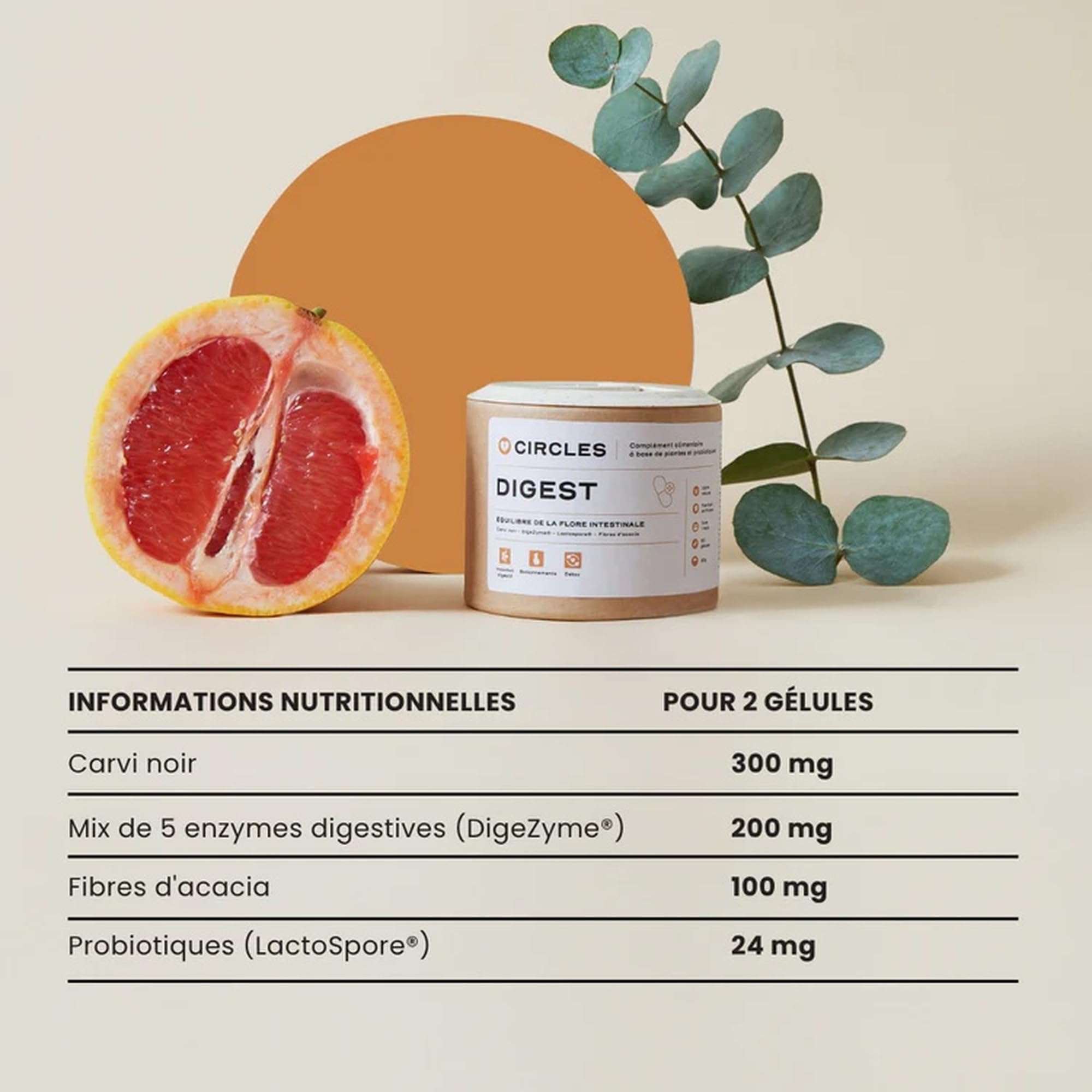 Circles DIGEST Probiotique Femme Bacillus Coagulans Lactospore Enzymes Digestives DigeZyme Flore Intestinale 60 Gélules Vegan