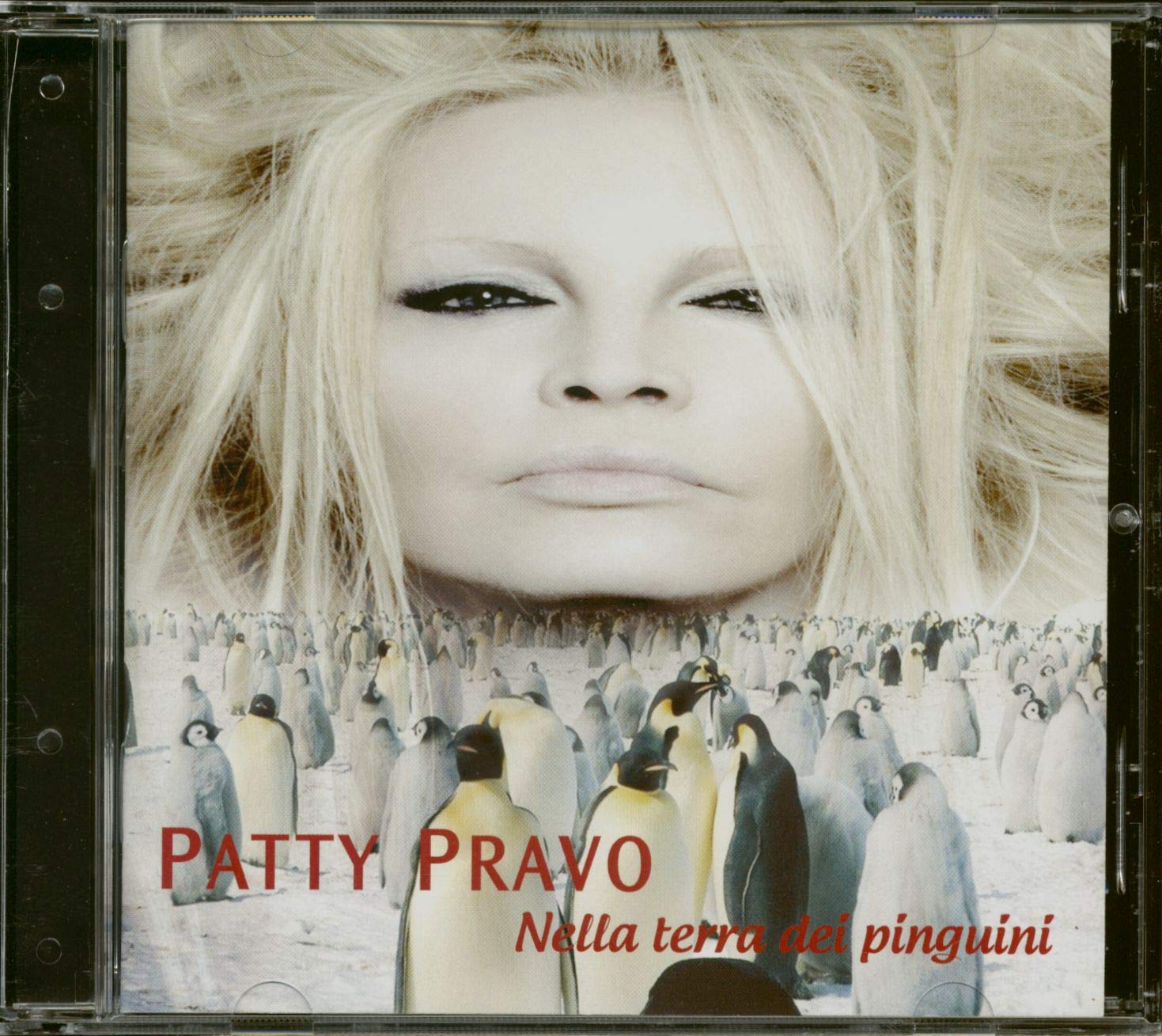 Nella Terra Dei Pinguini