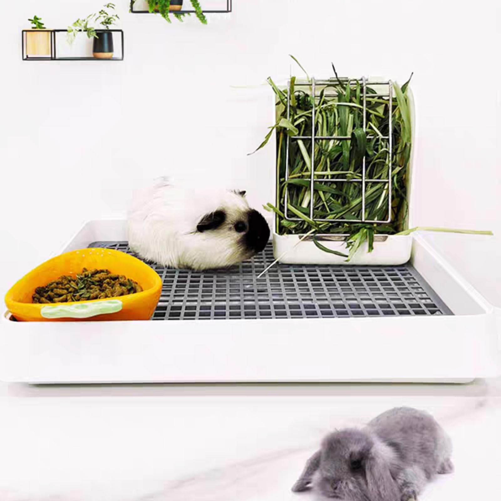 kyaoayo Lettiera per gatti di coniglio, taglie forti, per animali domestici, per bambini, conigli, porcellini d'India, cincillà, furetti (XL)