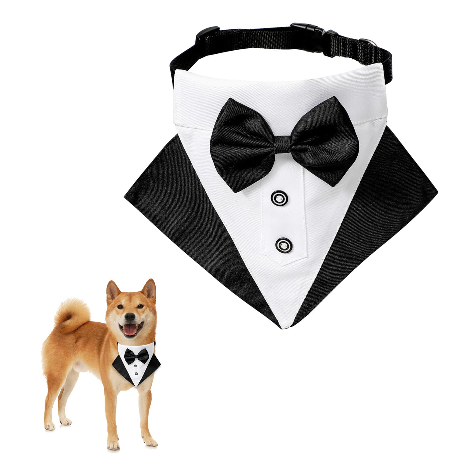 Homme Nœud Papillon Pour Mariage Businesse Cérémonie Fête