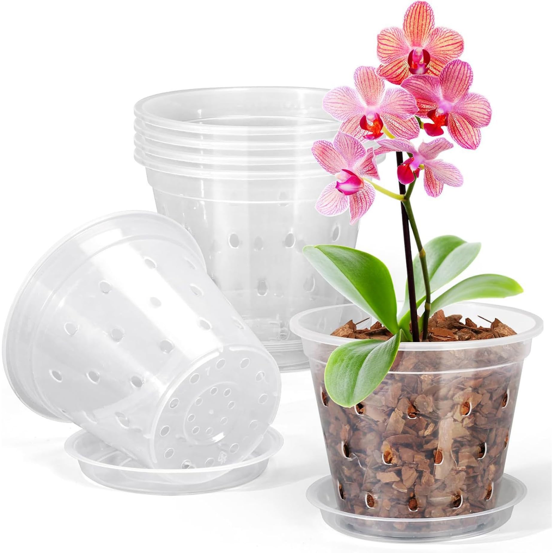 Xdyyjrasa Clear Orchid Pots - 6 Pack 4 Inch Plastic Orchid Pots for Repotting, Breathable Transparent Nursery Pot with Saucers