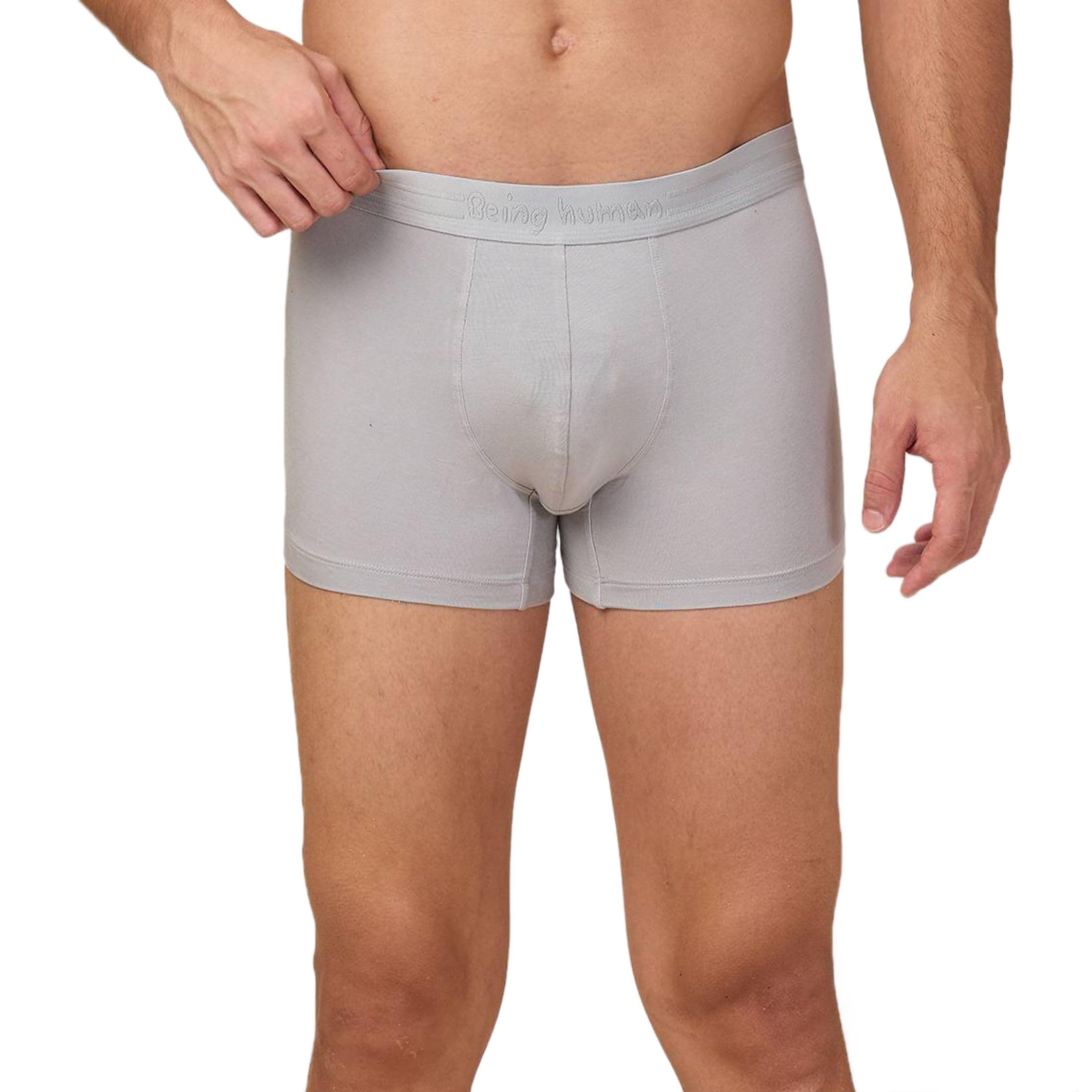 Grey Fitted Briefs-image-37