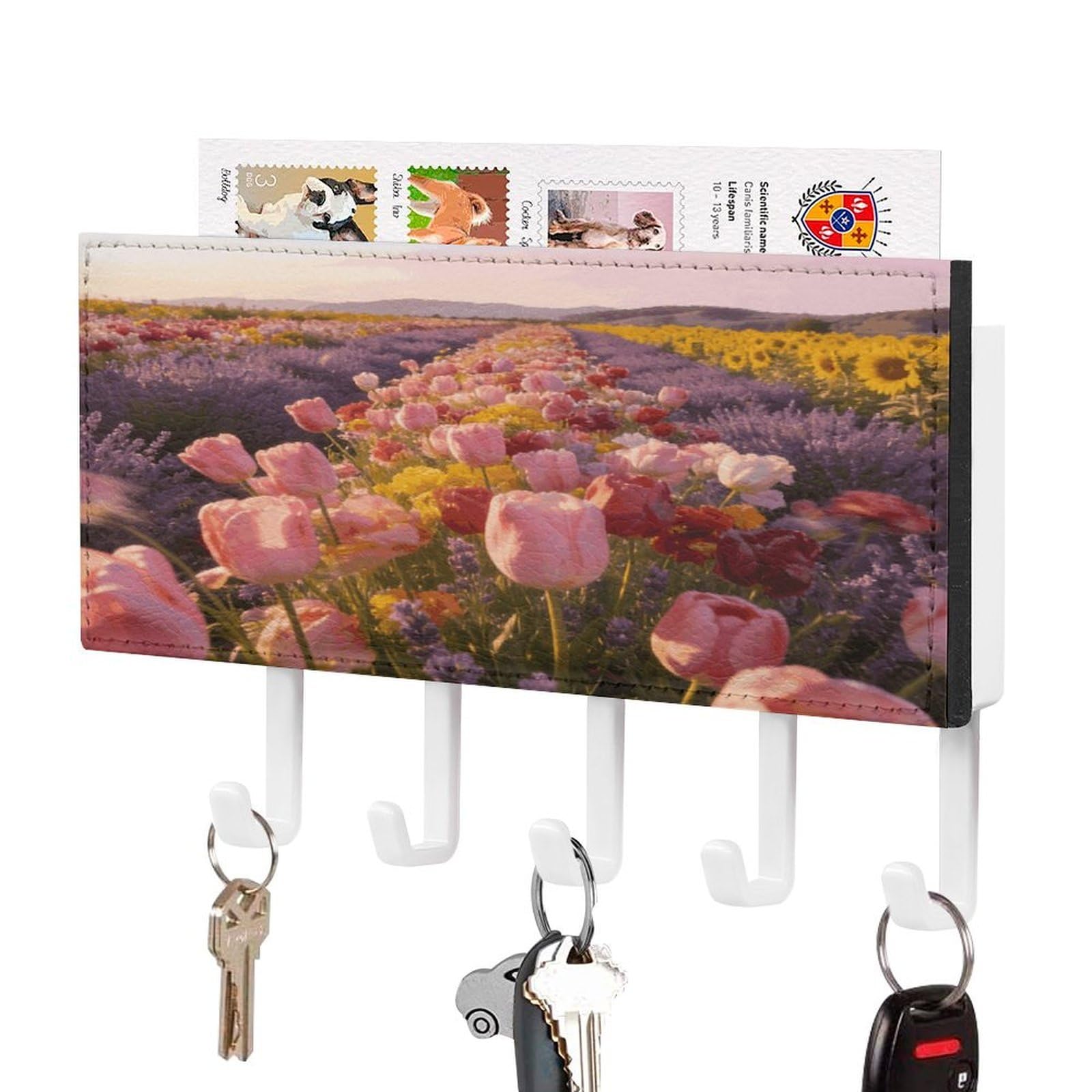 Estante de piel sintética para llaves de pared de diseño colorido con organizador de correo