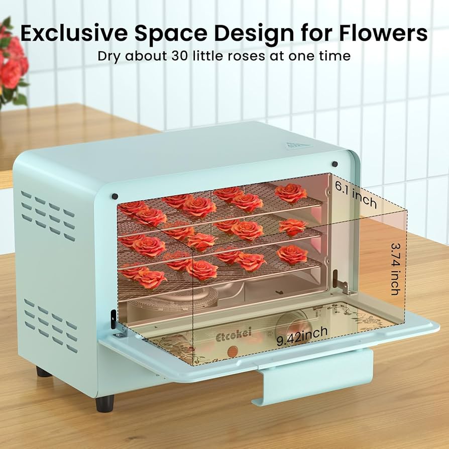 71NYt3Le6uL._AC_UF894, 71NYt3Le6uL._AC_UF894,