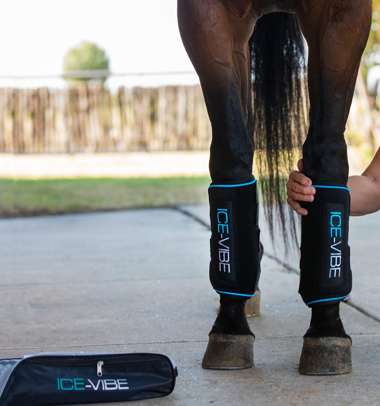 Horseware Botte Vibe De Glace