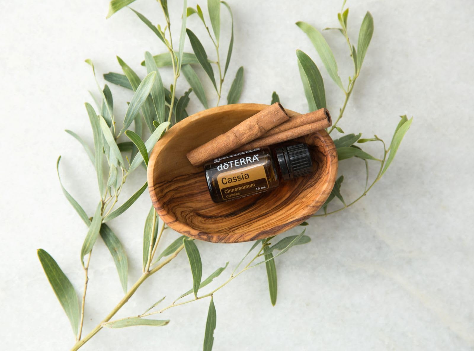 Amazon.com: doTERRA - Cassia Essential Oil - 15 mL : Health