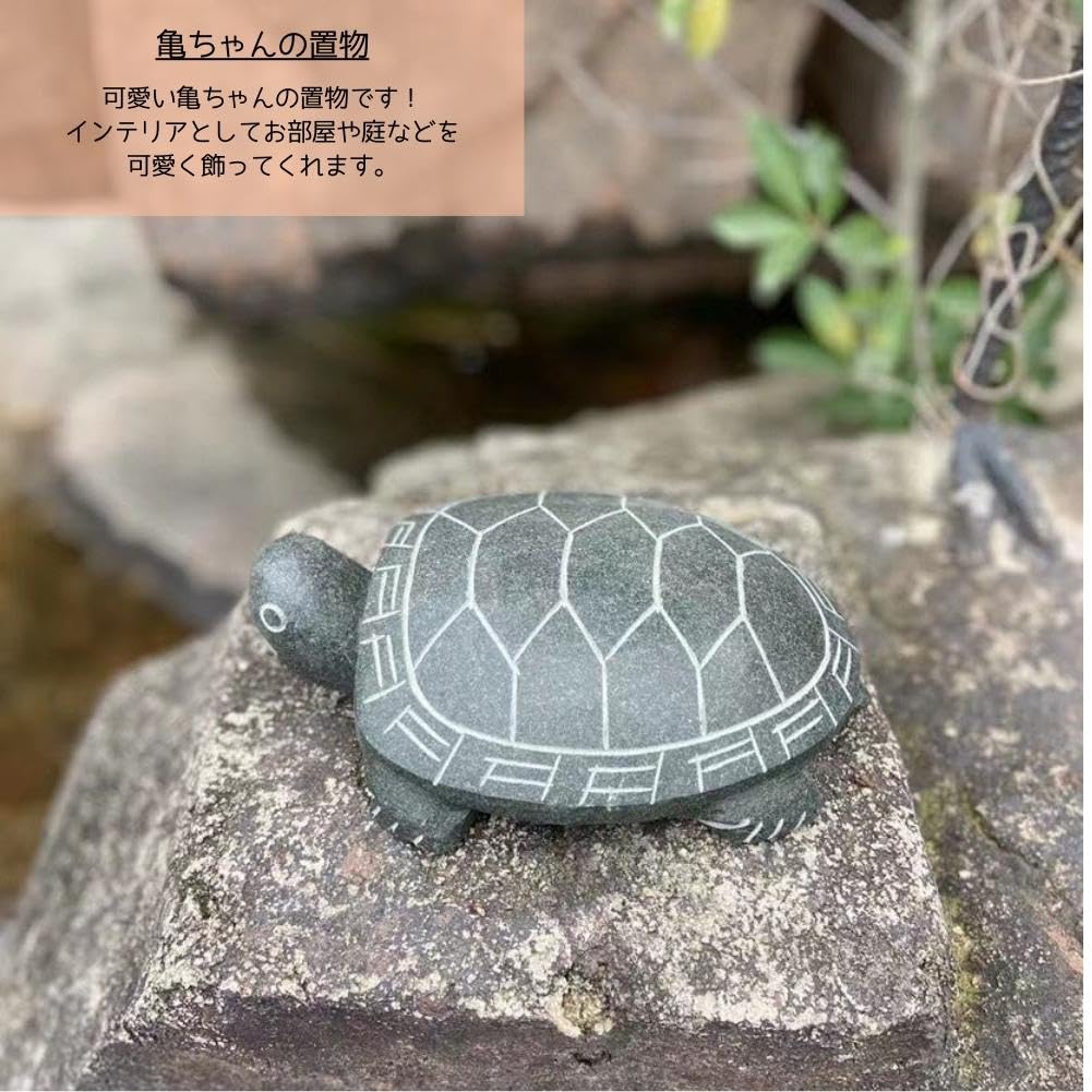 Amazon.co.jp: [S.T.S.G] 置物 カメ 亀 石 庭 ガーデニング 手彫り