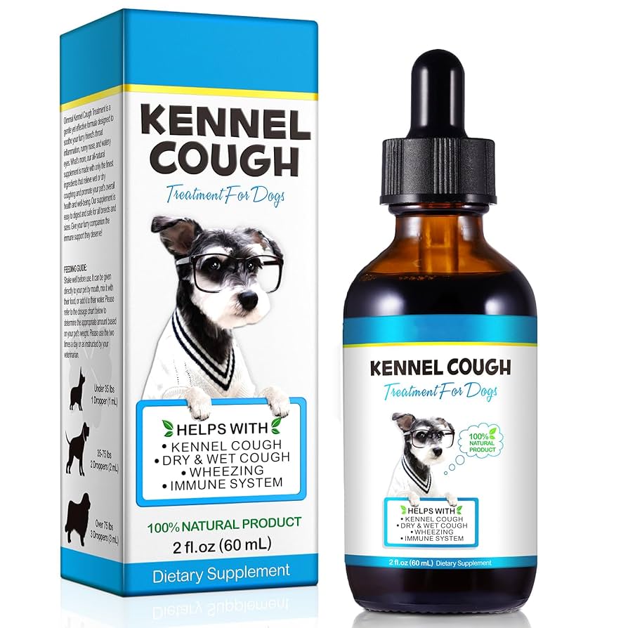 Can I Get Kennel Cough from My Dog: Essential Facts Revealed