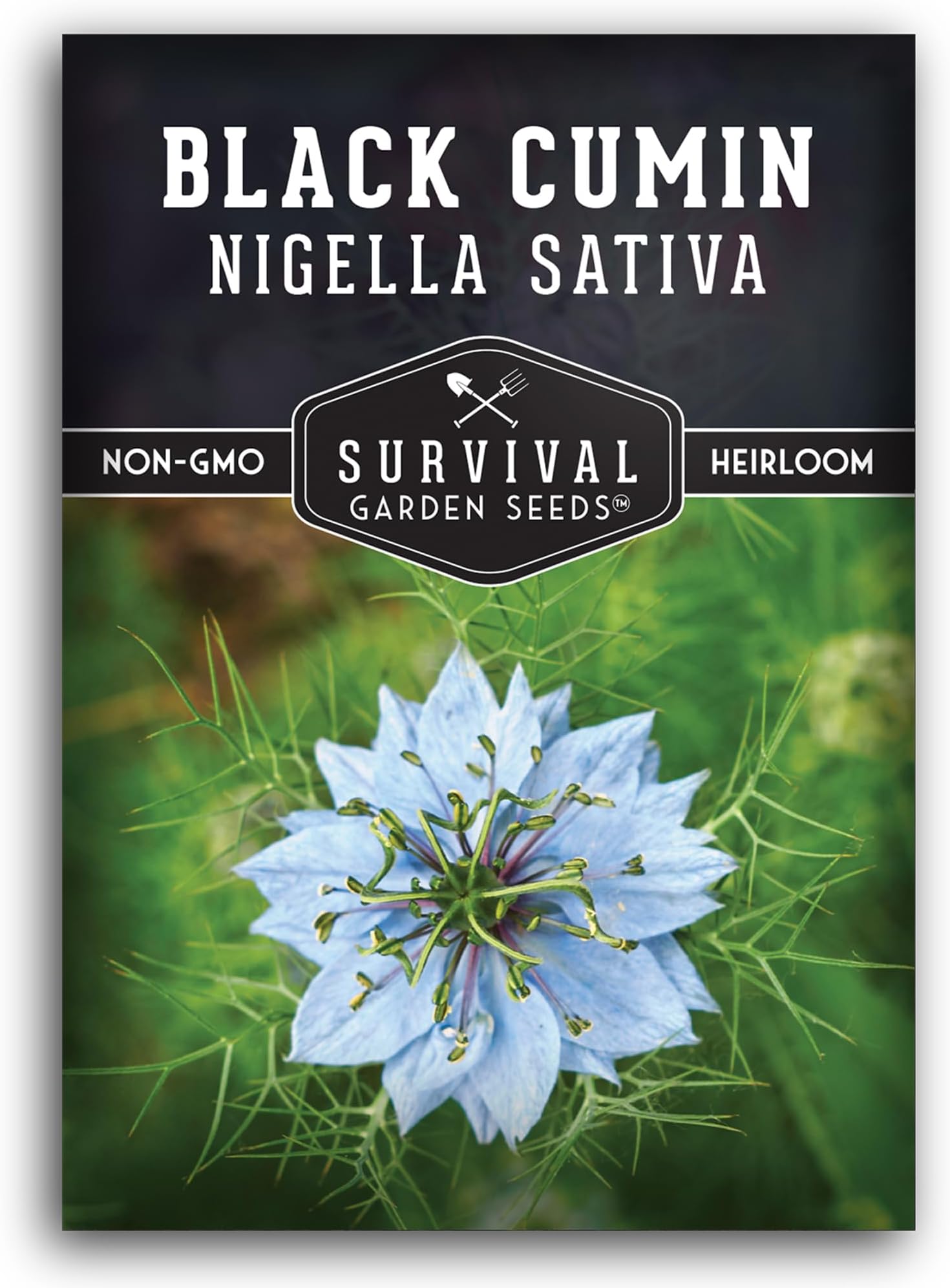Survival Garden Seeds Black Cumin Seed for Planting - 1 Packet with Instructions to Plant and Grow Beneficial Nigella Sativa Plants in Your Home Vegetable Garden - Non-GMO Heirloom
