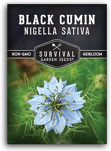 Survival Garden Seeds Semilla de comino negro para plantar, 1 paquete con instrucciones para plantar y cultivar plantas beneficiosas de Nigella