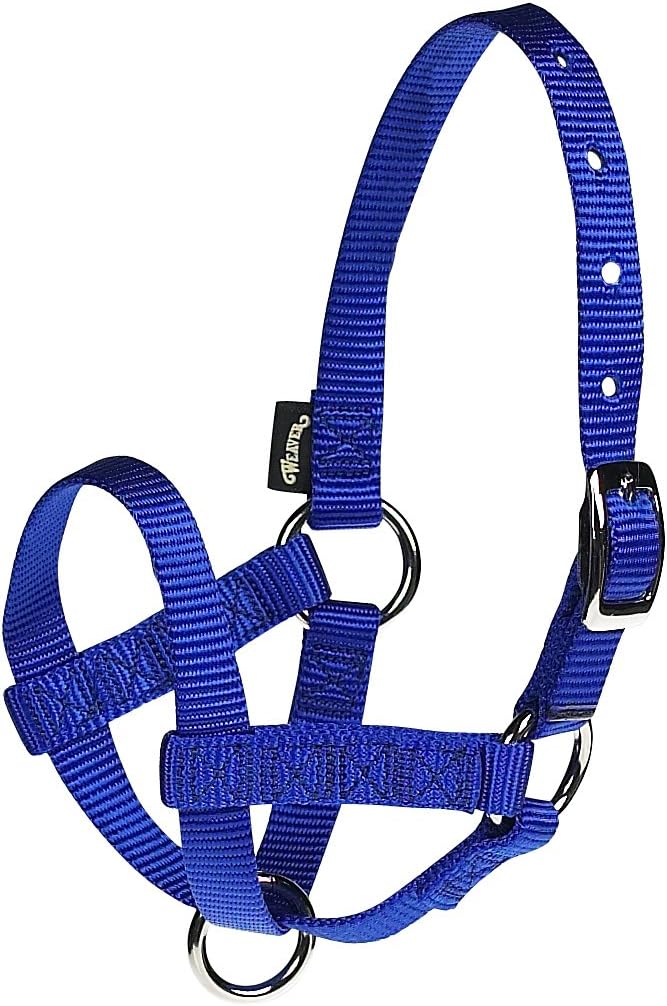 Weaver Leather unisex adult Livestock Halter Nylon ALPACA 5 8IN LG BL, Blue, Large Pack of 1 US