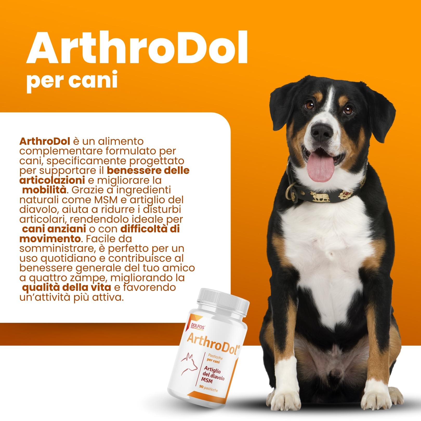 Dolfos Pets ArthroDol Integratore Articolazioni Cane, Antinfiammatorio e Analgesico Favorisce la Mobilità dei Cani Anziani 100% Naturale 90 Compresse
