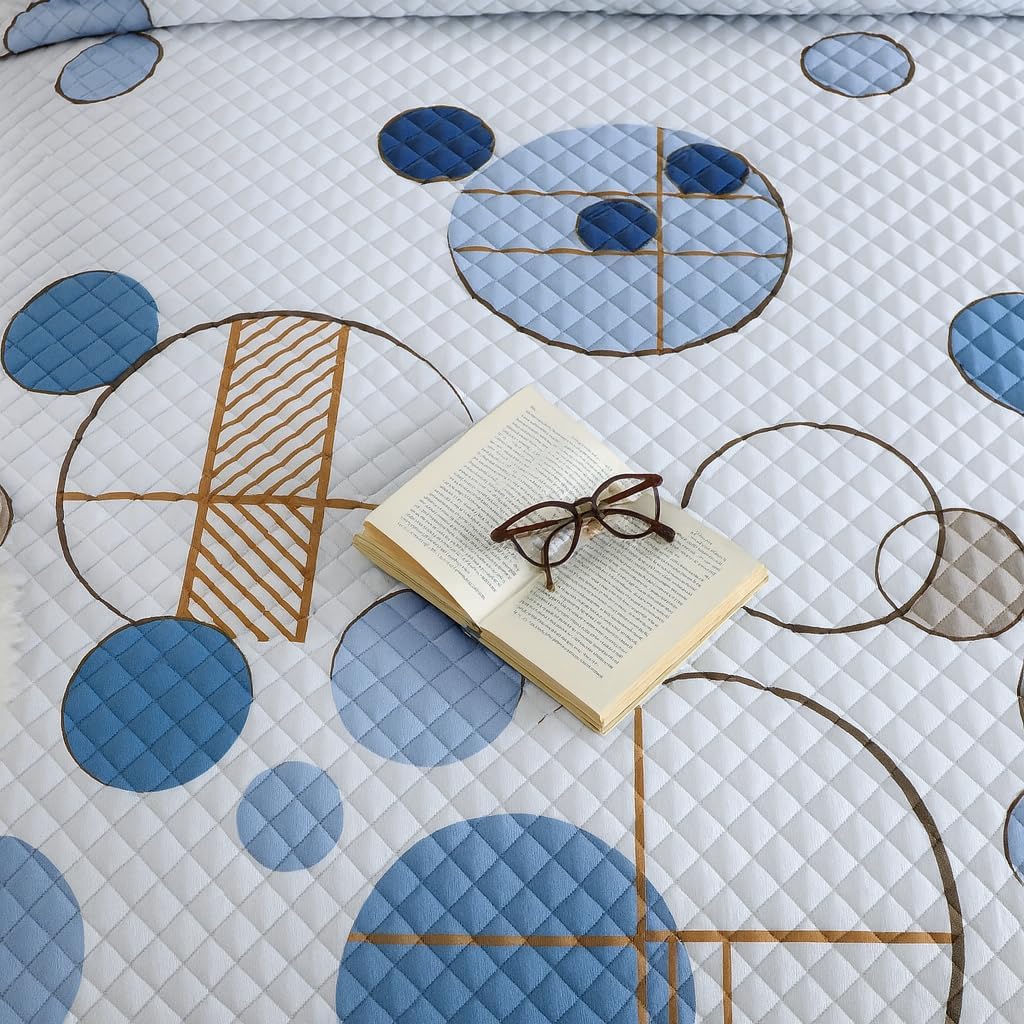 DBOZE Reversible Cotton Blend 3-Piece Embroidery Pattern Elegant Bedding Quilt Set with Embroidered Decorative Shams Soft Bedspread & Coverlet Set (Blue/White, Queen)