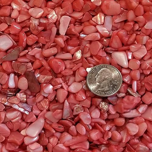 Miniatura 2 de BeachWalk Pequeñas conchas naturales trituradas, para bodas, relleno de jarrón, decoración del hogar y manualidades (32 onzas (2 libras), perla roja)