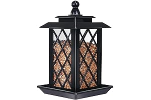Vivace Large Bird Feeders for Outdoors