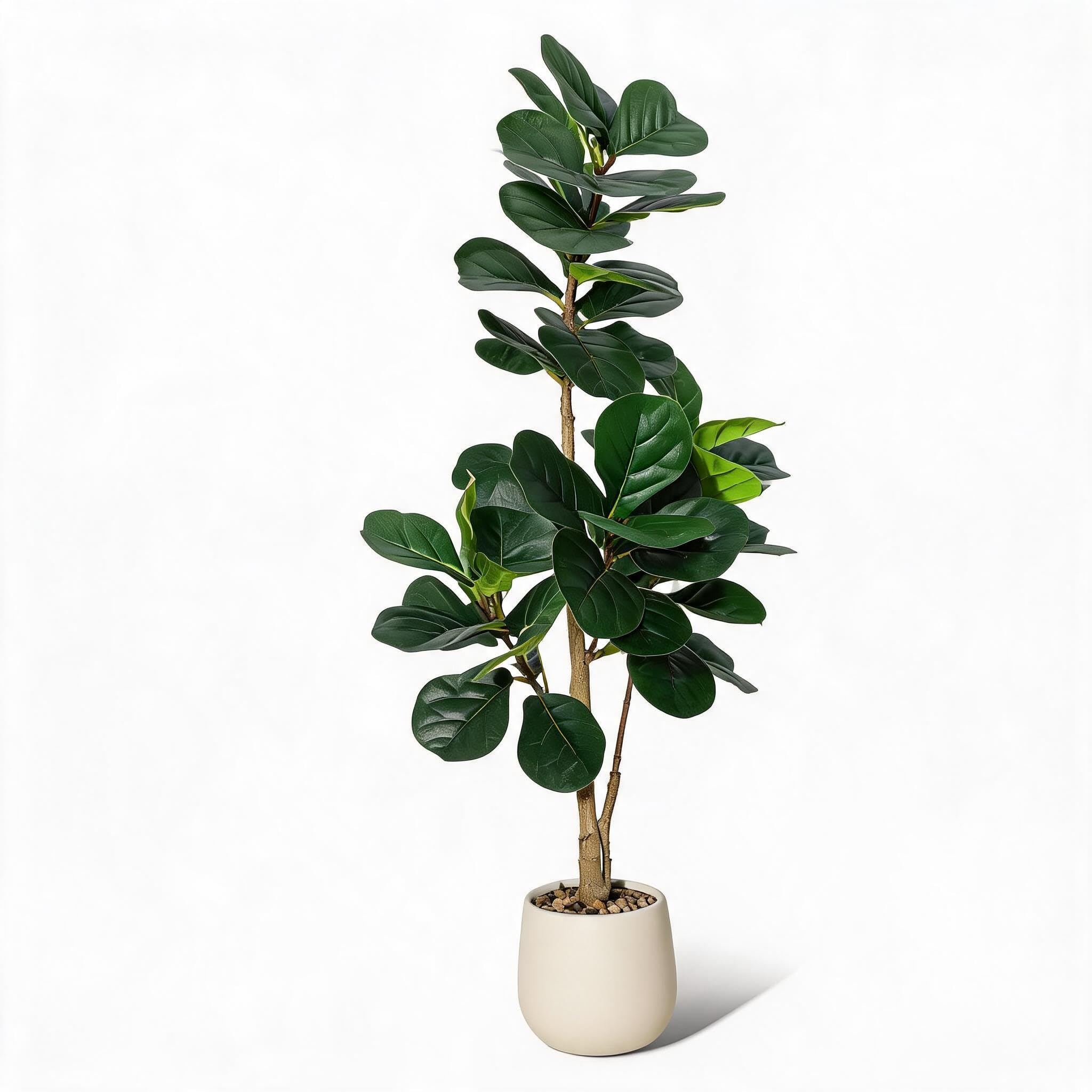 Kunstpflanzen Groß Artificial Violin Fig Tree 210 cm | Künstliche Pflanzen,Weißen Blumentöpfen Mit Kies Pflanzen,Kunstpflanze Outdoor Wetterfest, Wohnzimmer, Schlafzimmer