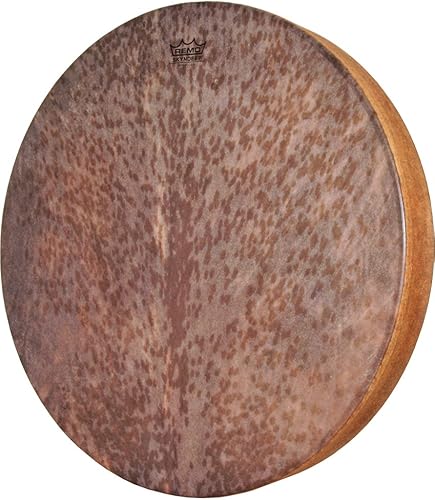 Bundle de alquitrán Remo 22" skyndeepr rayas de cabra y logotipo de 2Plástico Huevo ShakersLuz Azul