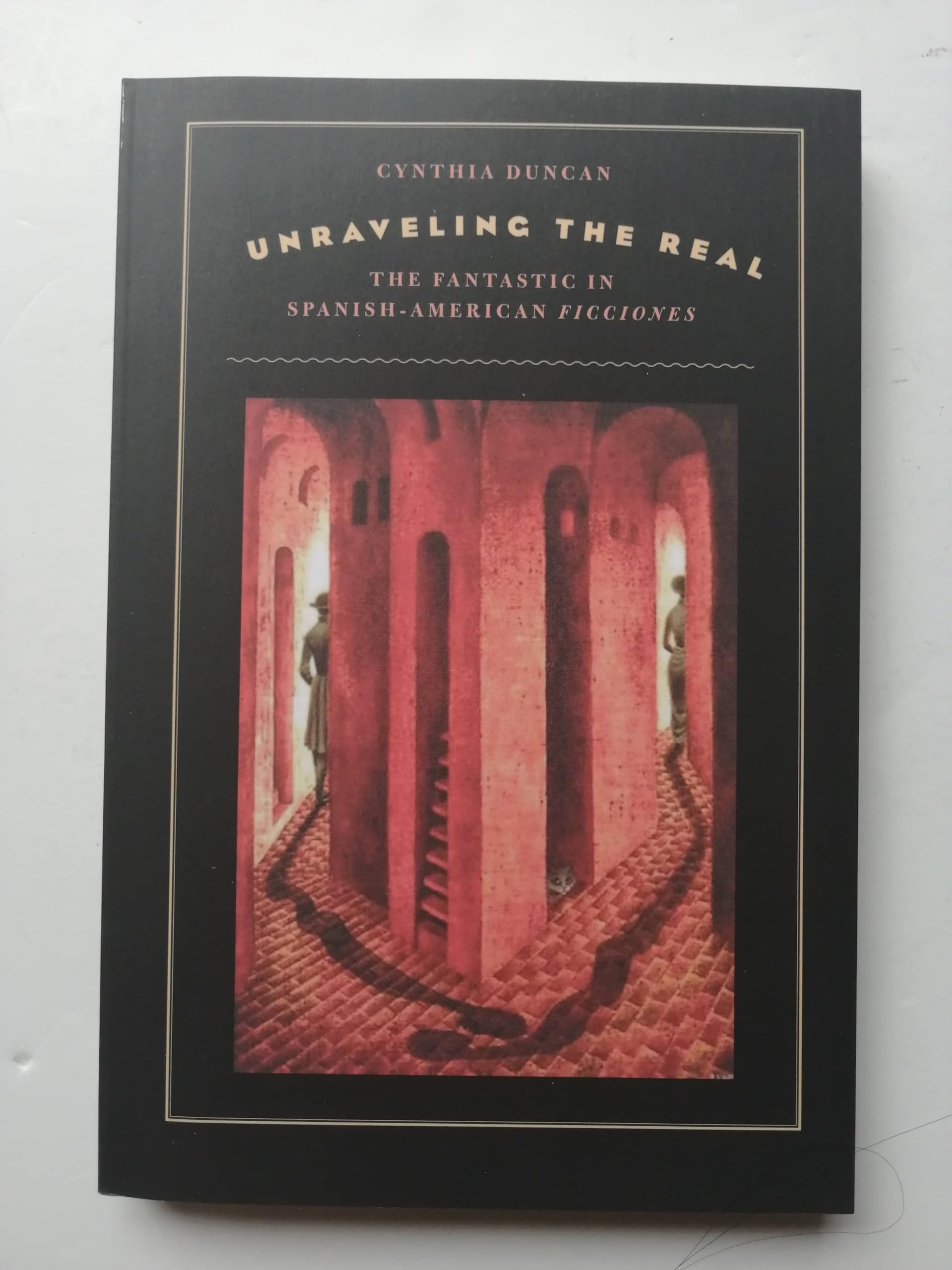 Buy Unraveling the Real: The Fantastic in Spanish-American Ficciones โ BookShops.in