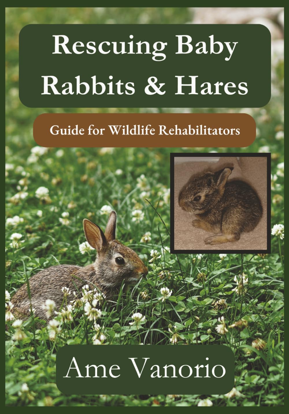 Rescuing Baby Rabbits & Hares: Guide for Wildlife Rehabilitators (Wildlife Rehabilitation Series)