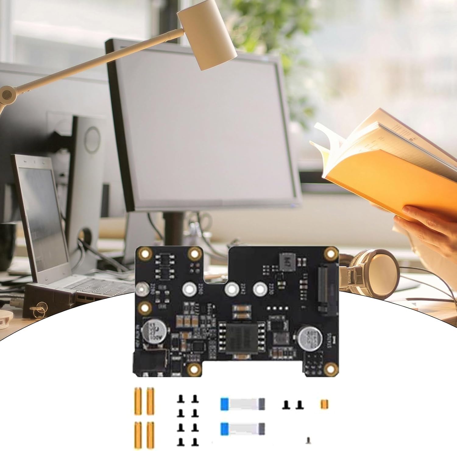 九谷焼 椿山窯 若村紫紅 梅の絵柄のお皿 2枚セット