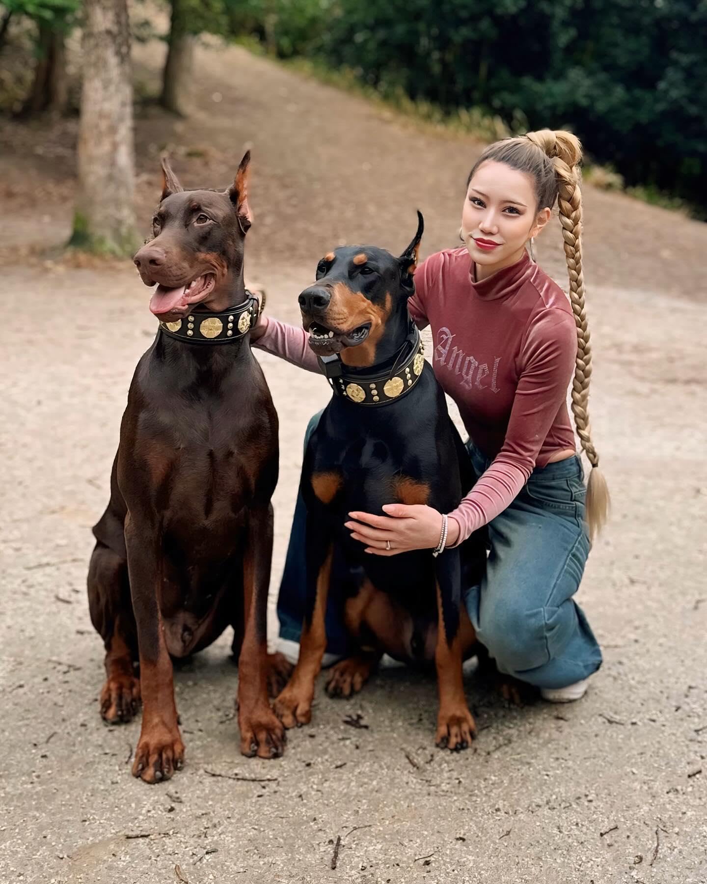Bestia Maximus'' Echtleder Hundehalsband für große Hunde. 100% Leder. Weich Gepolstert
