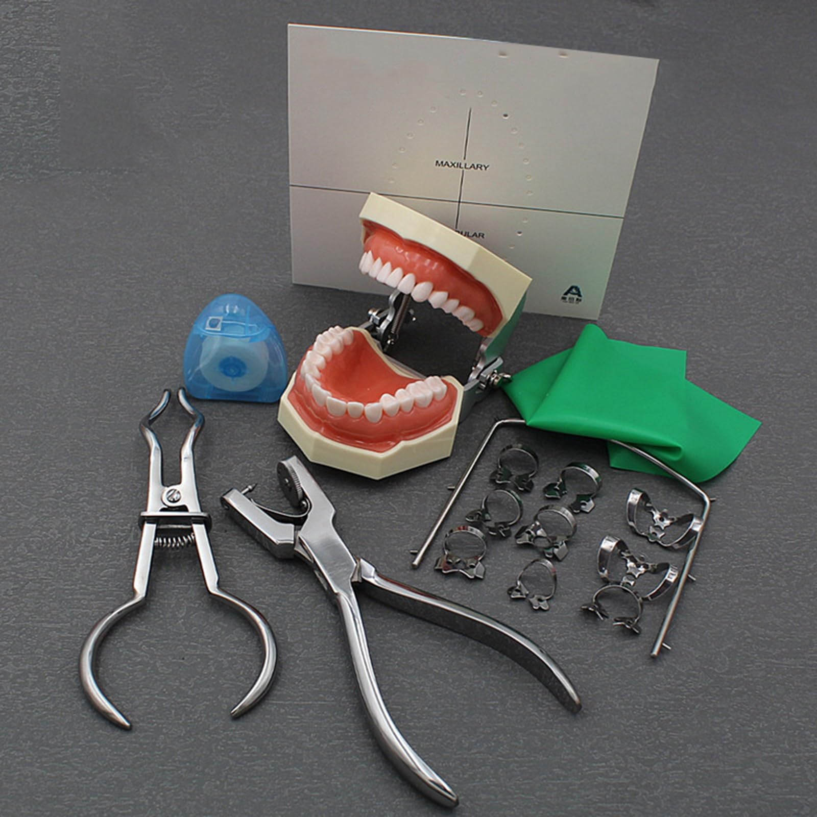 Kit diga in Gomma endodontica Dentale - Set di Strumenti per la Pratica della Scheda di punzonatura della diga in Gomma - per l'educazione scientifica all'esame Orale Dentale,B,25cm