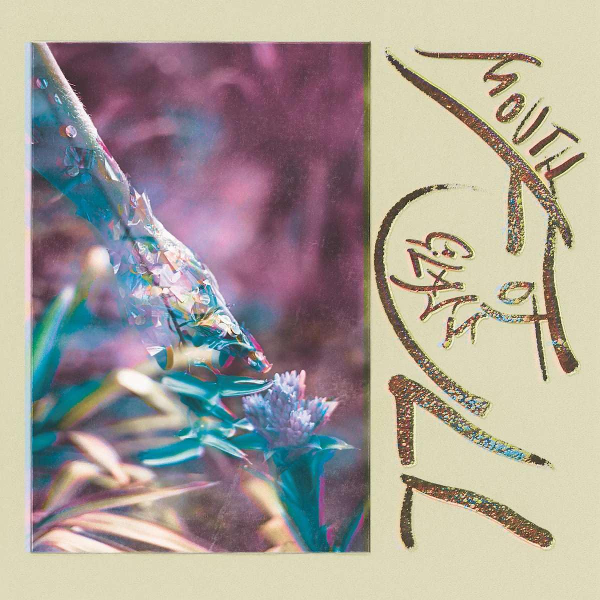 Macie Stewart – Mouth Full Of Glass LP Album vinyl record 2022 limited purple