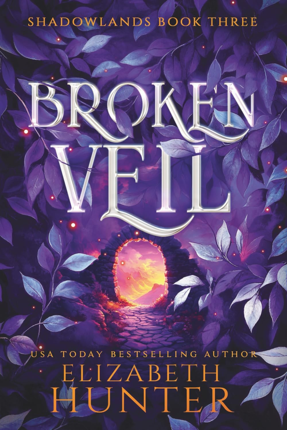 Broken Veil: A Romantic Portal Fantasy (Shadowlands)