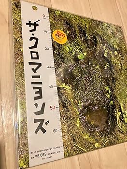 ザ・クロマニヨンズ　レコード　LP Amazon.co.jp: ザクロマニヨンズ ファーストアルバム レコード