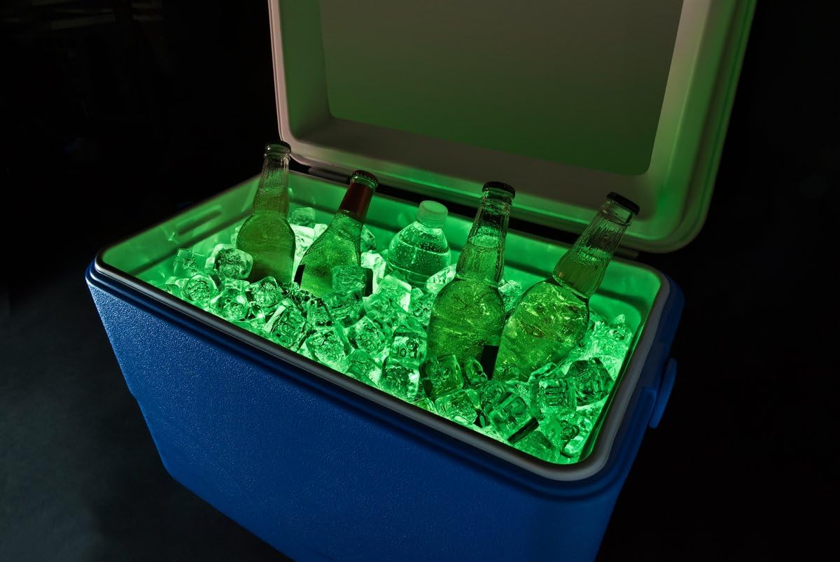 Cooler lighting Clearance