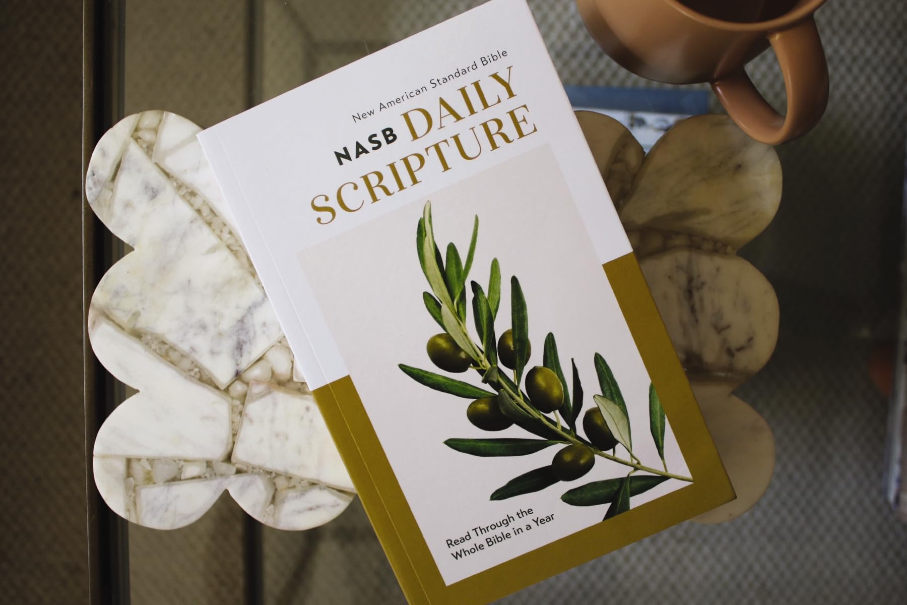 NASB, Daily Scripture, Paperback, White/Olive, 1995 Text, Comfort Print: 365 Days to Read Through the Whole Bible in a Year