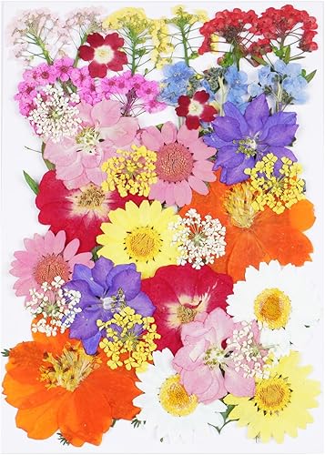 Vista 15 de 40 flores secas prensadas negras para manualidades, kit de flores secas Xinxinran para moldes de resina, accesorios de resina epoxi, marcador, uñas