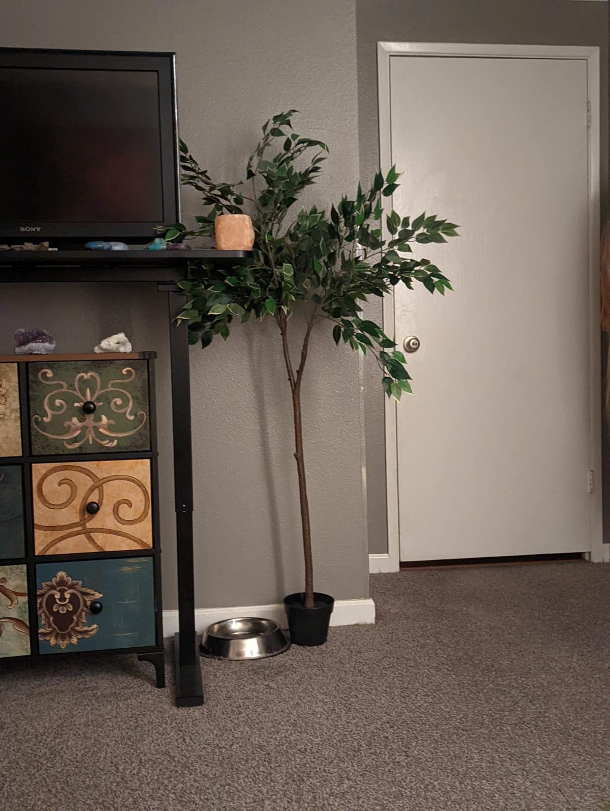 1/mo Finance Amazon Basics Artificial Mini Succulent Fake Indoor