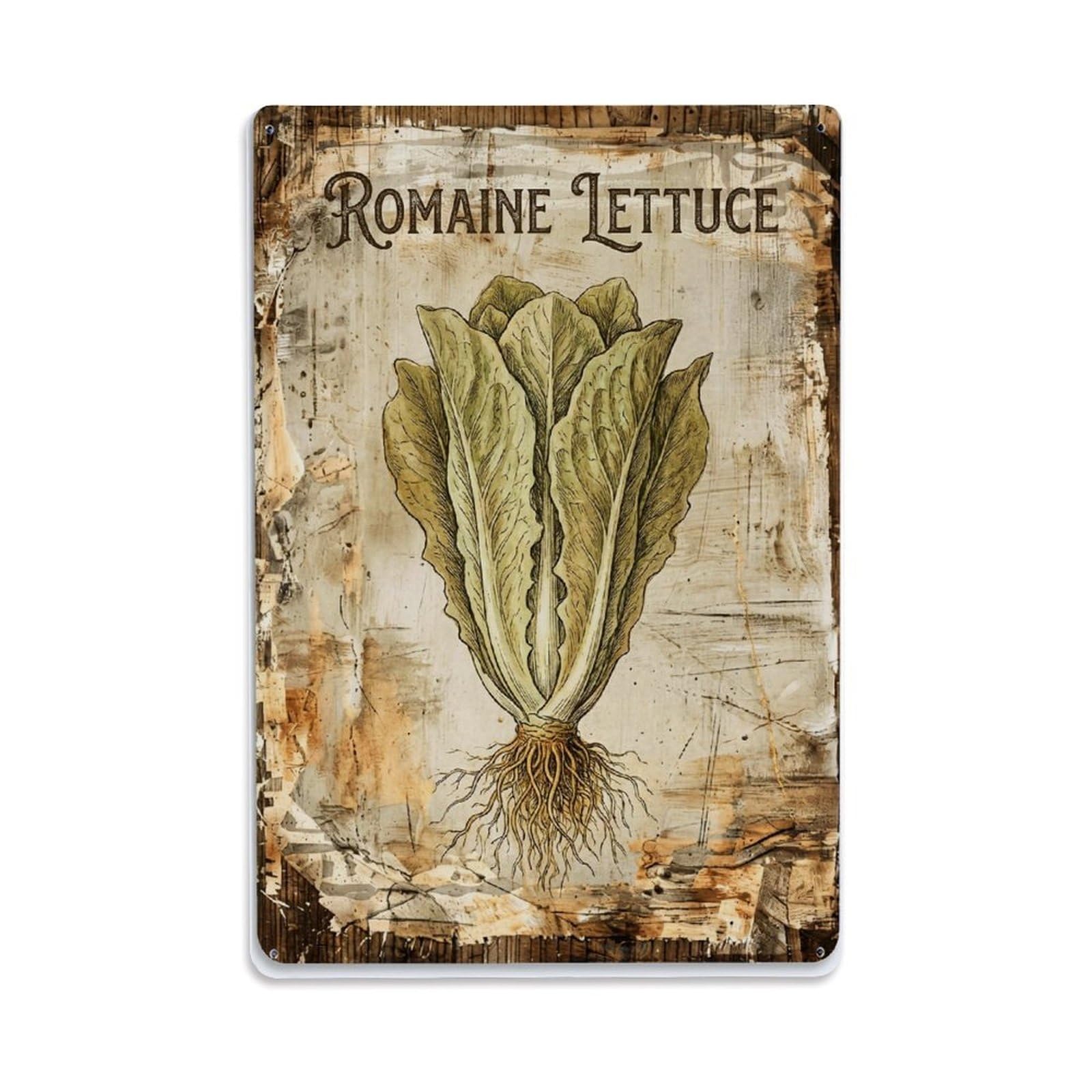 Fqnyr Style Romaine Lettuce Vegetable 1 Metal Tin Sign Plaque Wall Decor For Cafe, Club Bar, Office, Home Garden Metal Poster 8X12inch