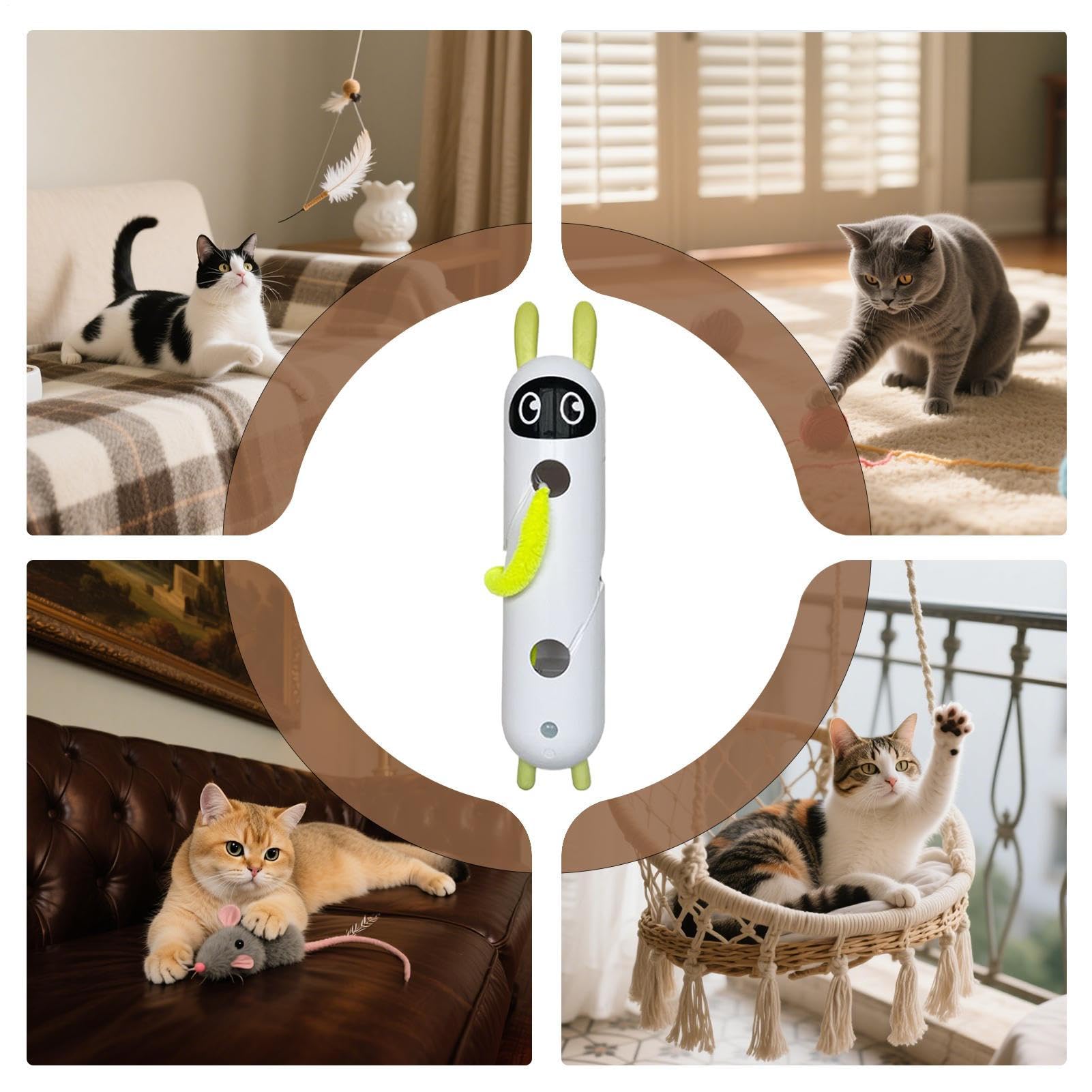 interactifs pour chats, rechargeables, intelligents, stimulants