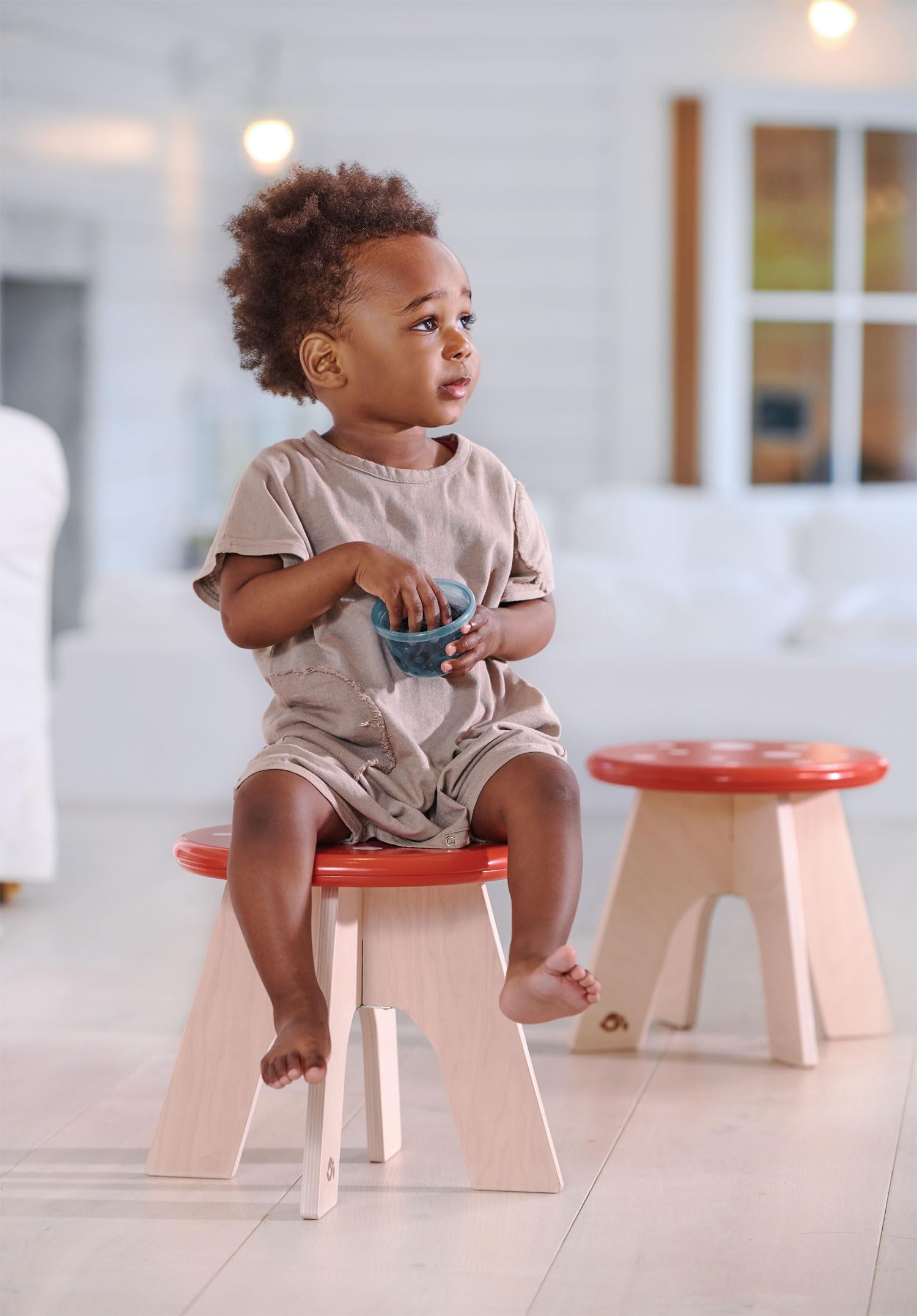 Tender Leaf Toys - Toadstool