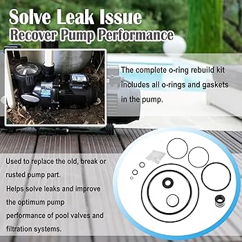 Amazon.com: O-Ring Rebuild Repair Kit for Jandy Zodiac FHPF