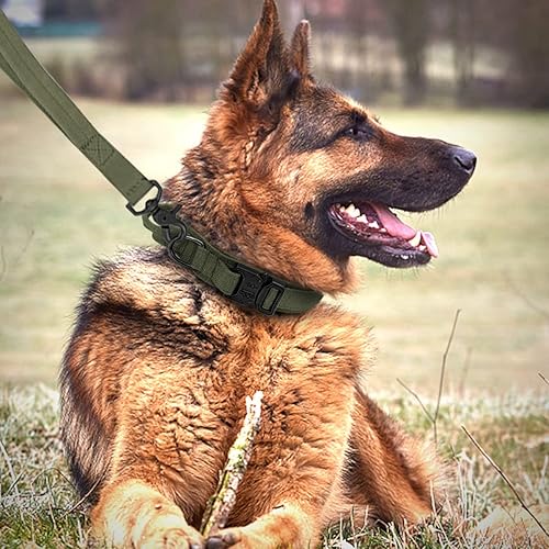 Miniatura 10 de Juego de collar táctico y correa ajustable de nailon militar para perro con mango de control, hebilla de metal resistente y correa elástica para