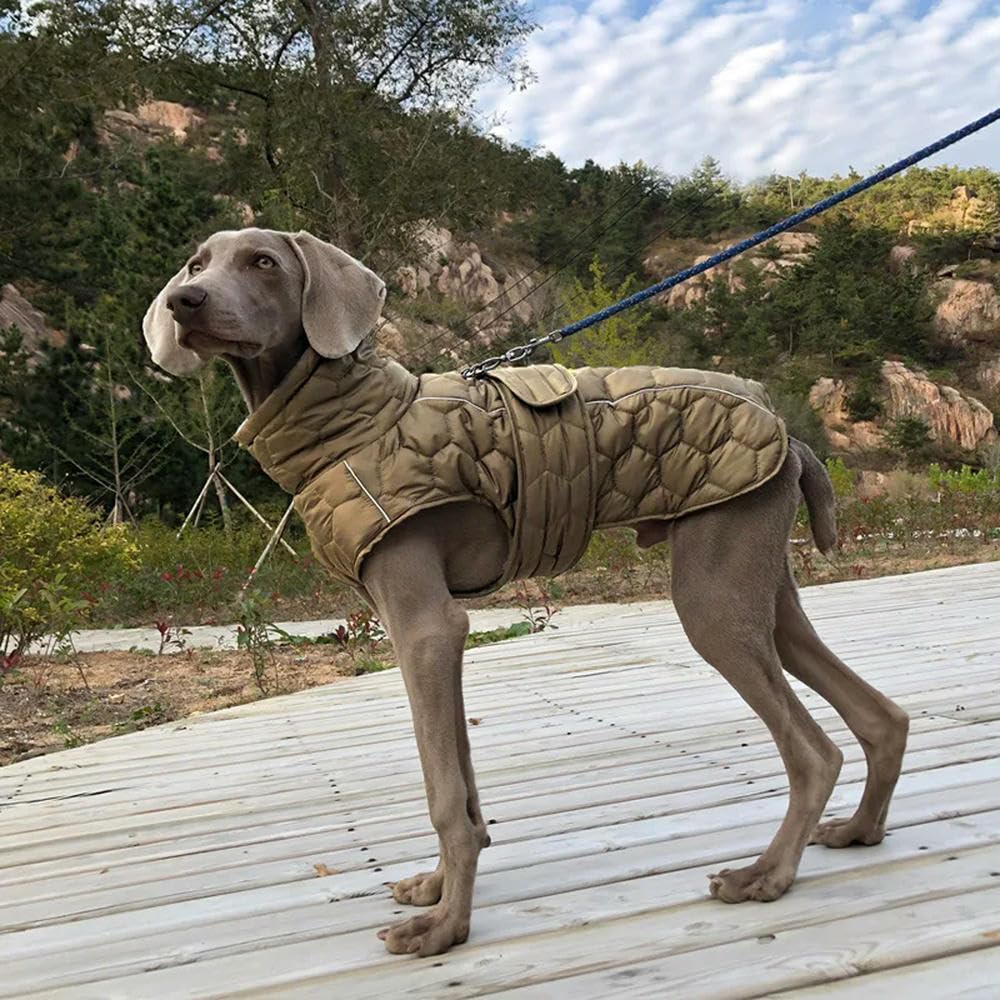 Vestiti per Cani Abiti per Cani Invernali Antivento Morbido Trapuntato per Cane Caldo Giacca da Neve Capello di Cane Grande-Verde-s