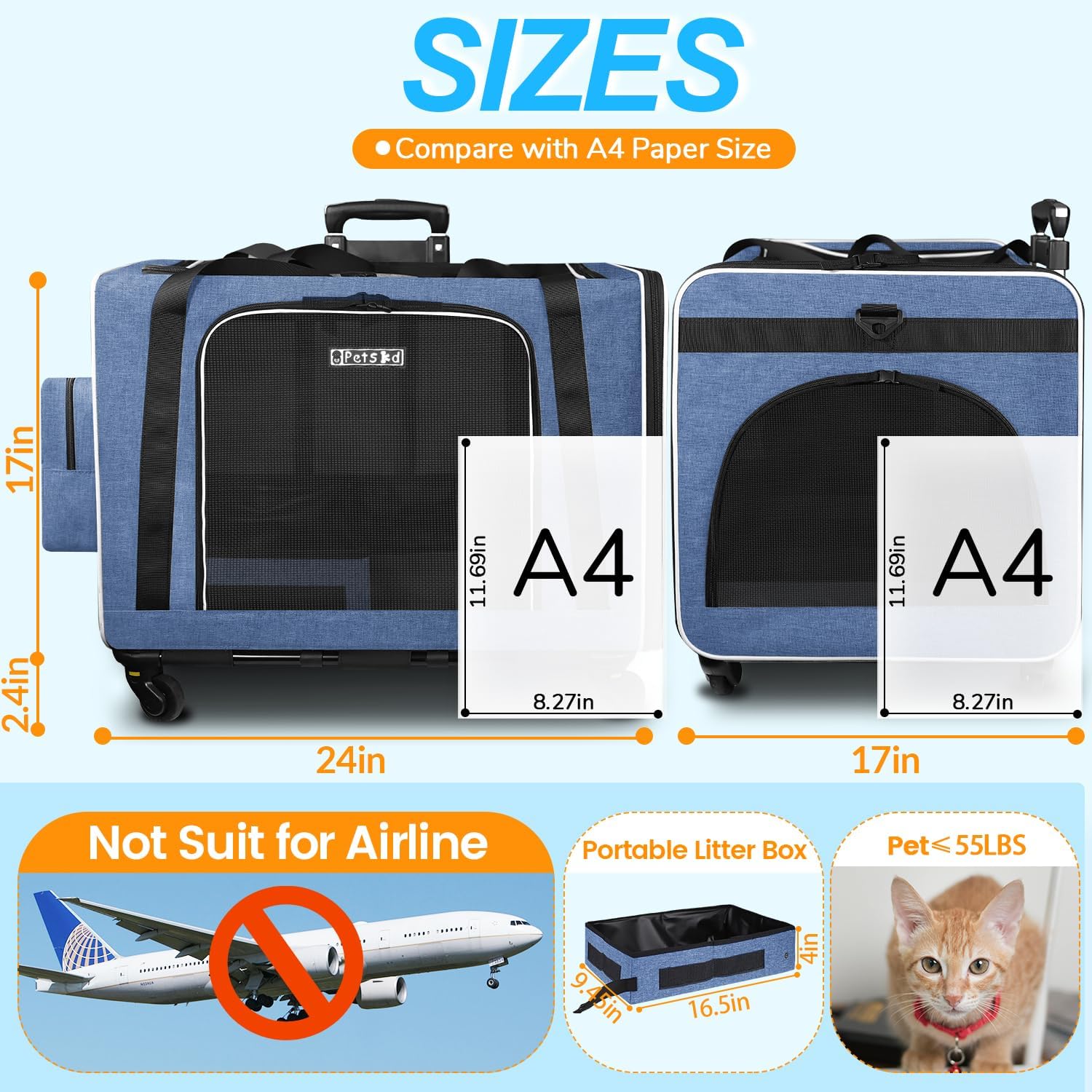 https://m.media-amazon.com/images/I/71NZw3qve5L._AC_SL1500_.jpg